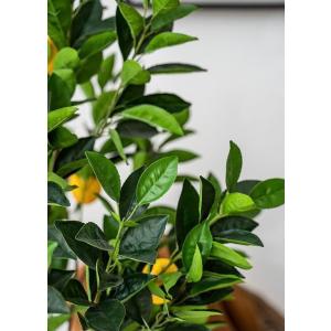 ☆観葉植物☆ 造花 レモンの木 檸檬 全高約1...の詳細画像4