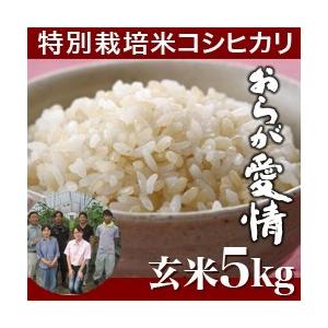 【令和5年度産】新潟産 コシヒカリ おらが愛情 玄米 5kg　ギフト　のし無料　特別栽培魚沼産コシヒ...