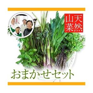 【2024年予約販売】天然山菜おまかせセット 2kg(採取者・笑顔の里)新潟県魚沼産｜nn-2