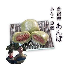 魚沼産 あんぼ(あんこ10個)　新潟県産　ギフト　新潟名物　和菓子　お取り寄せ　贈答品　のし無料　添加物不使用　お土産　手土産　お土産｜nn-2