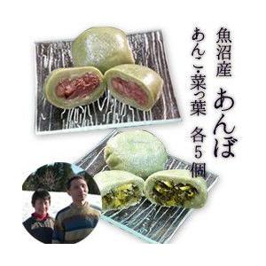 魚沼産 あんぼ あんこ5個 菜っ葉5個 Pn Mungkid Go Id Index Php