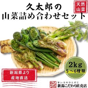 【2024年予約販売】（久太郎）天然山菜詰め合わせ　2kg　新潟県産　天然山菜　産地直送　クール便発送　ギフト｜nn-2