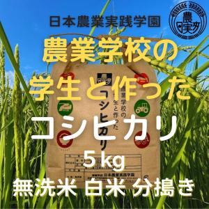 農業学校が作ったコシヒカリ5kg　無洗米　白米　７分つき　３分つき　精米したて　こしひかり　茨城県産【令和5年産新米】