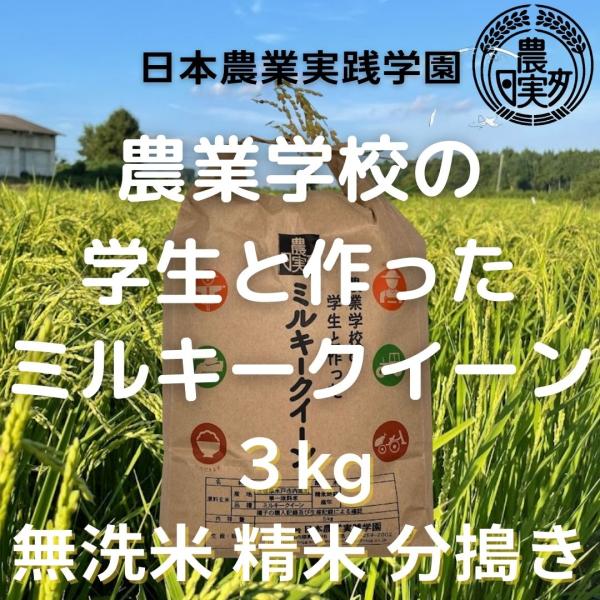 農業学校が作ったミルキークイーン3kg　無洗米　白米　精米　7分づき　3分づき　精米したて　 米【令...