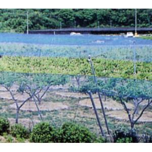 防鳥ネット 強力防鳥網 1000D 3cm目×幅7.2m×長さ9m（ブルー） : 日本