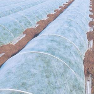 農業用 不織布 パオパオ90R 260cm×200m 光線透過率90％ 農業用ベタがけ