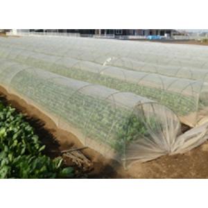 防虫ネット ムシカットストロング 1mm目×長さ100m×幅210cm : 日本農業