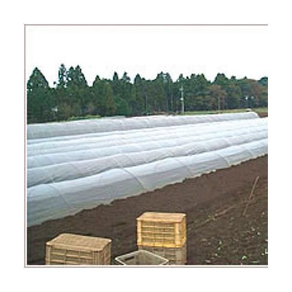 直送品　不織布　保温資材　日石ワリフ  長さ100m× 幅210cm 白