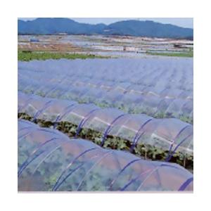 タキロンシーアイ カット販売 農POフィルム コーティング5＋1UV プラス