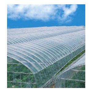 【おがしょう】農業用POフィルム ダイヤスター ビニールハウス用 三菱ケミカル ダイヤスター