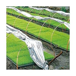 3本 イワタニ 三層 シルバーポリ 水稲用 #80 幅180cm 長さ50m タSD