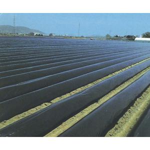 農業用マルチシート　国産黒マルチ  厚さ0.02mm×長さ200m×幅95cm｜日本農業システム