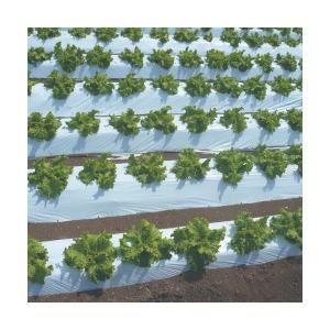 直送品　農業用マルチシート　国産オリジナル白黒マルチ（無孔）　長さ200m×厚さ0.021mm×幅180cm