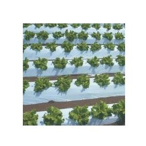 農業用マルチシート　オリジナル白黒ストロングマルチ