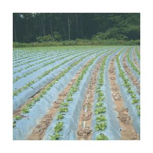 直送品　農業用マルチシート　国産オリジナル銀黒マルチ（無孔） 長さ200m×厚さ0.023mm×幅150cm