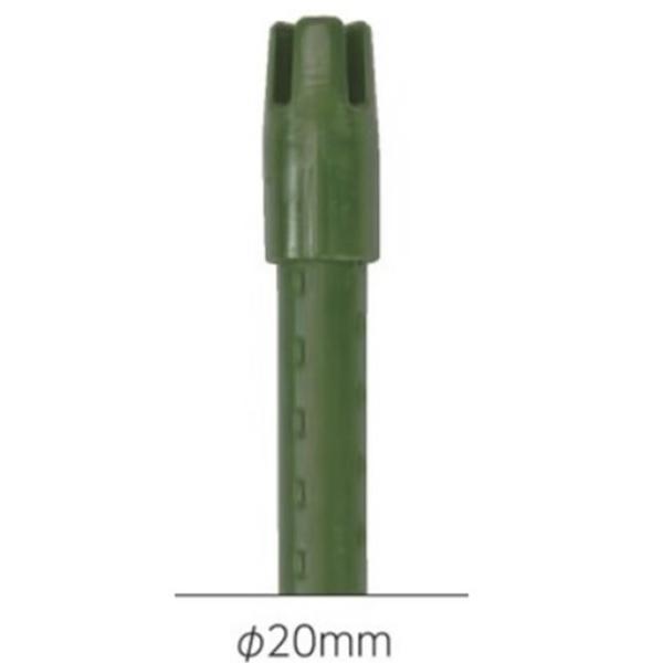 イボ竹十字キャップ付き　径20mmX長さ210cm　25本