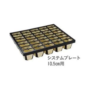 タキイ 根巻防止セルトレイ ストロング M型 200穴 黒 100枚入 : 日本