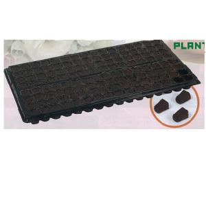 プラントプラグ128穴（挿穴有） 10枚入