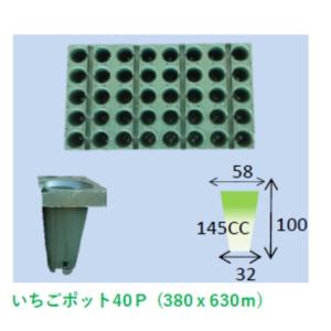 タキイ 根巻防止セルトレイ ストロング M型 200穴 黒 100枚入 : 日本