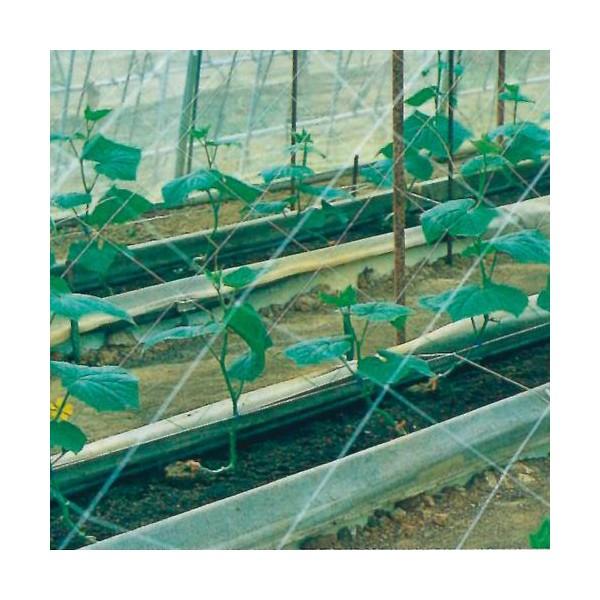 キュウリネット  白緑  18cm目×幅135cm×長さ36m