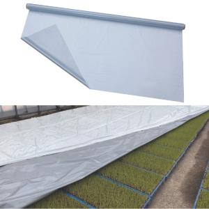 岩谷マテリアル イワタニ 水稲用 ハイホワイトシルバー 厚0.05mm 幅