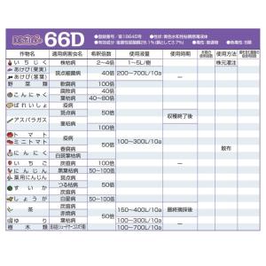 ICボルドー 66D 5kgの詳細画像2