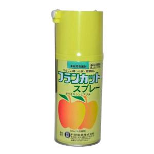 フランカットスプレー　300ml｜nns