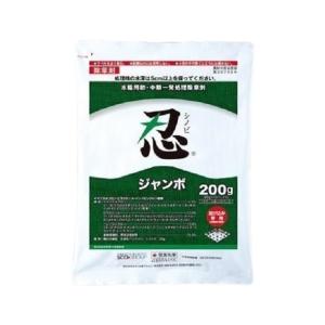 忍ジャンボ 20G×10の商品画像