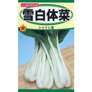 シャクシ菜の種　雪白体菜　8ml　品番1017　種子　たね