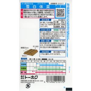 シャクシ菜の種 雪白体菜 8ml 品番1017...の詳細画像1