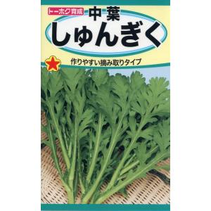 シュンギクの種　中葉しゅんぎく　25ml　品番1115　種子　たね