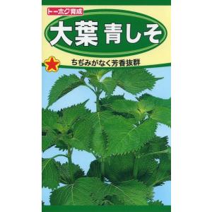シソの種　大葉青しそ　3ml　品番1330　種子　たね