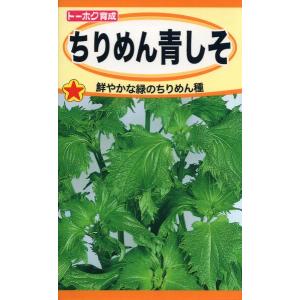 シソの種　ちりめん青しそ　3ml　品番1394　種子　たね