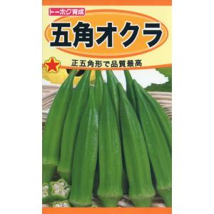 オクラの種　五角オクラ　7ml　品番1625　種子　たね｜nns