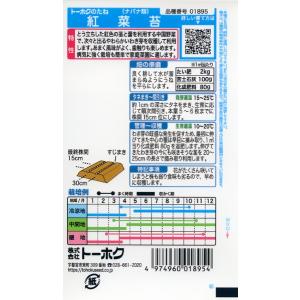 コウサイタイの種 紅菜苔 5ml 品番1895...の詳細画像1