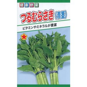 ツルムラサキの種　つるむらさき　（青茎）　2ml　品番1966　種子　たね