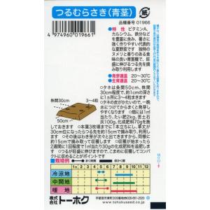 ツルムラサキの種 つるむらさき (青茎) 2m...の詳細画像1