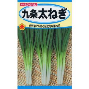 ネギの種 九条太ねぎ 7ml 品番2211 種子 たねの商品画像