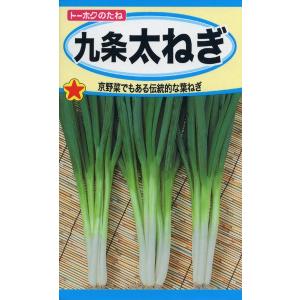 ネギの種　九条太ねぎ　7ml　品番2211　種子　たね｜日本農業システム