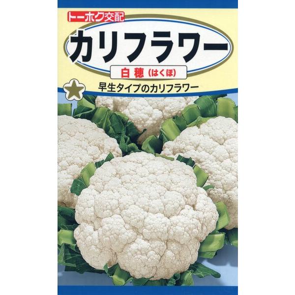 カリフラワーの種　F1　カリフラワー　白穂　1ml　品番3430　種子　たね