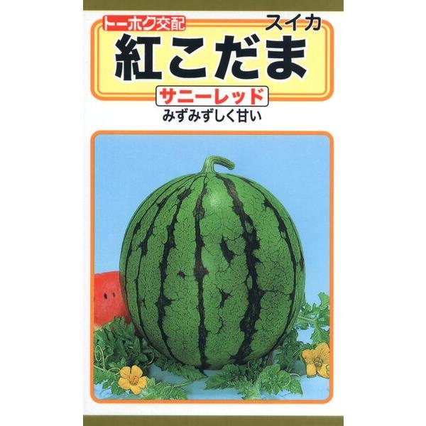 スイカの種　紅こだま　サニーレッド　0.8ml　品番3811　種子　たね