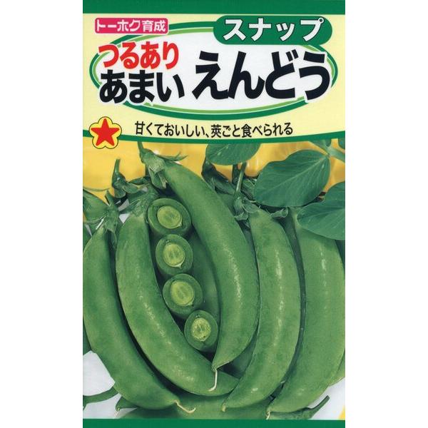 エンドウの種　つるあり　あまいえんどう　30ml　品番6380　種子　たね