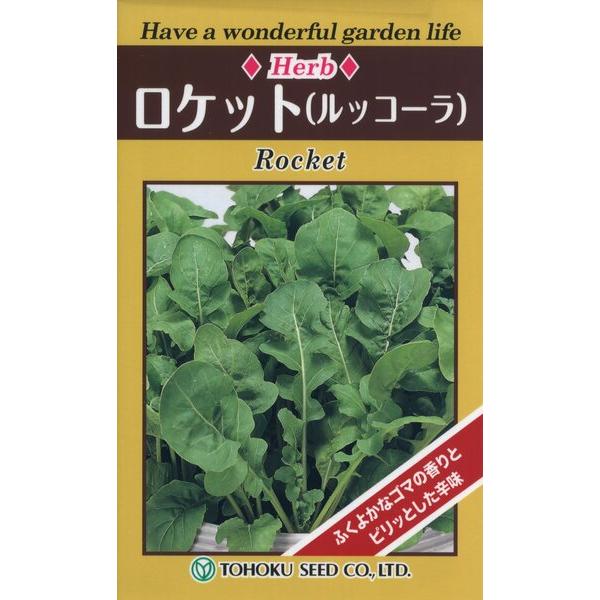 ハーブの種　ハーブ　ロケット　1ml　品番7665　種子　たね