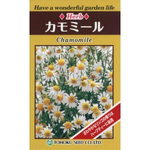 種子 カモミール ジャーマンカモミール トーホクのタネ Herb 007 Gardener S Shop Ivy 通販 Yahoo ショッピング