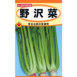 ノザワナの種　野沢菜　10ml　品番1026　種子　たね