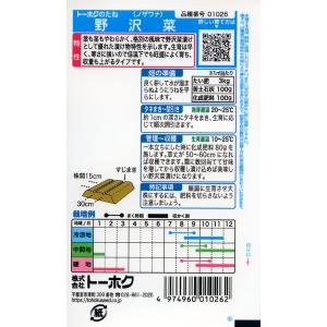 ノザワナの種 野沢菜 10ml 品番1026 ...の詳細画像1