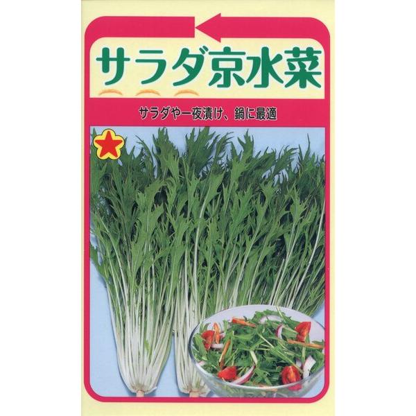 ミズナの種　サラダ京水菜　10ml　品番1065　種子　たね