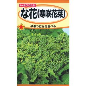 ナバナの種 な花 (寒咲花菜) 10ml 品番1...の商品画像