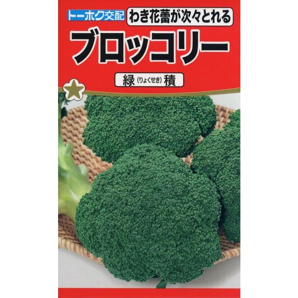 ブロッコリーの種　F1　ブロッコリー　緑積　1ml　品番3540　種子　たね