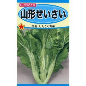 山形青菜の種 山形せいさい 10ml 品番542...の商品画像